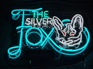 Neon Silver Fox Lounge