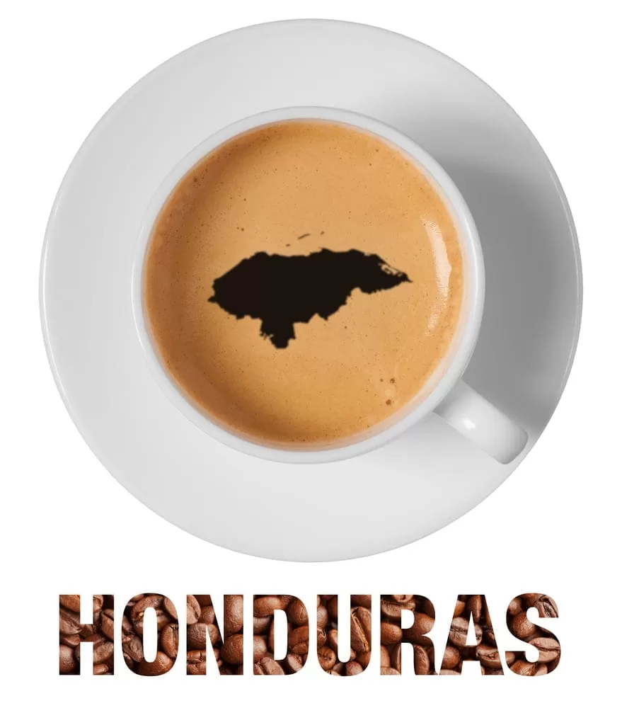Honduras Coffee